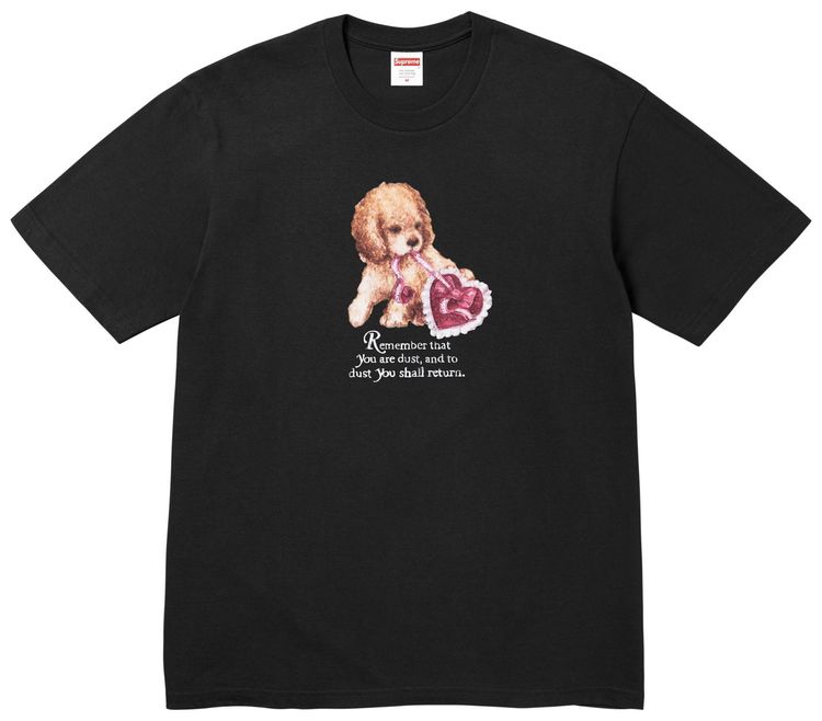 

Футболка Supreme Dust Tee, черный