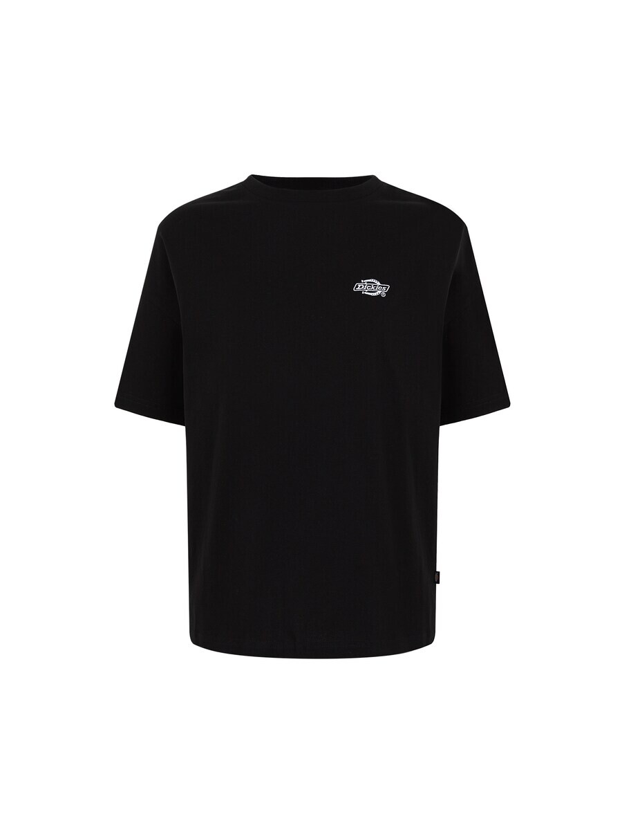 

Футболка Dickies SUMMERDALE, черный