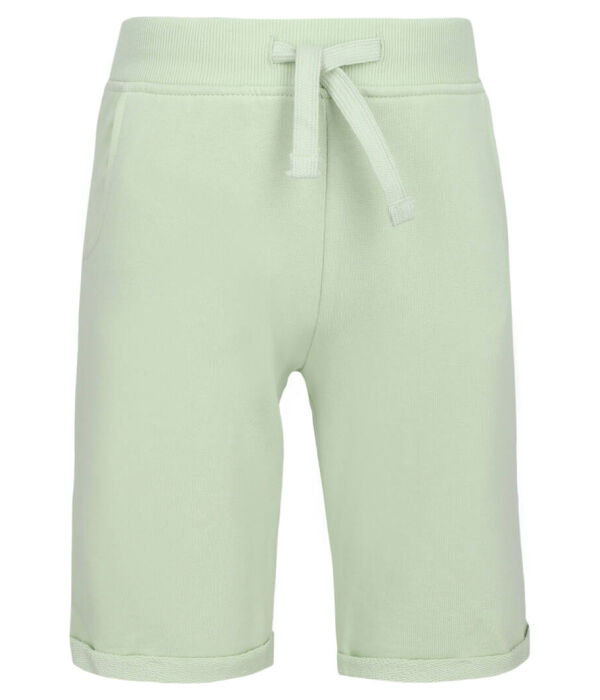 

Шорты Regular fit Guess, голубой