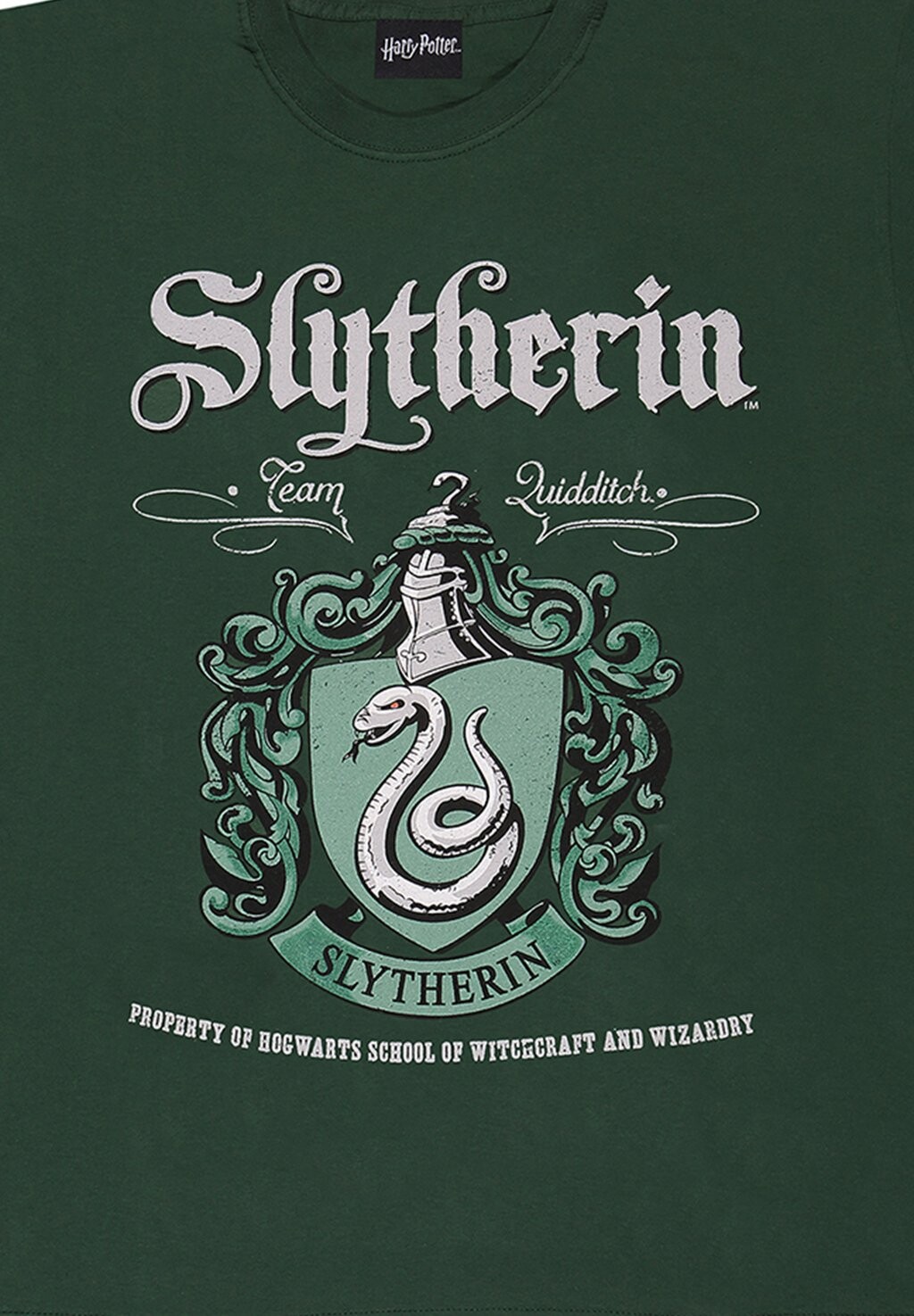 

Футболка с принтом HARRY POTTER SLYTHERIN CREST Harry Potter, темно-зеленый
