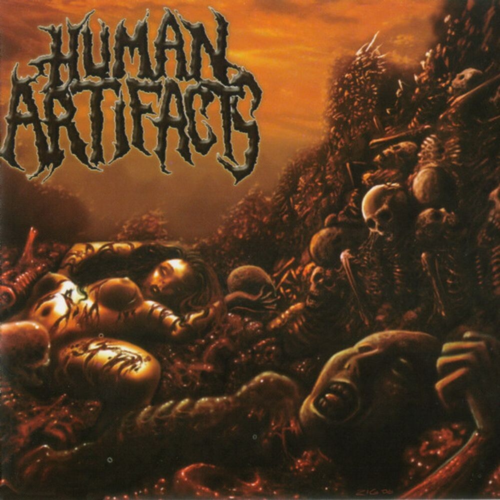 

Диск CD The Principles Of Sickness - Human Artifacts