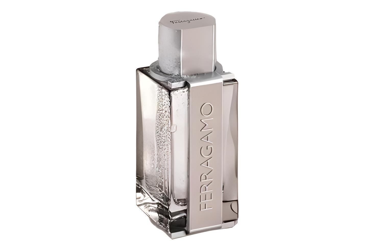 Туалетная вода Salvatore Ferragamo Ferragamo Bright Leather, 100 мл — фото 2