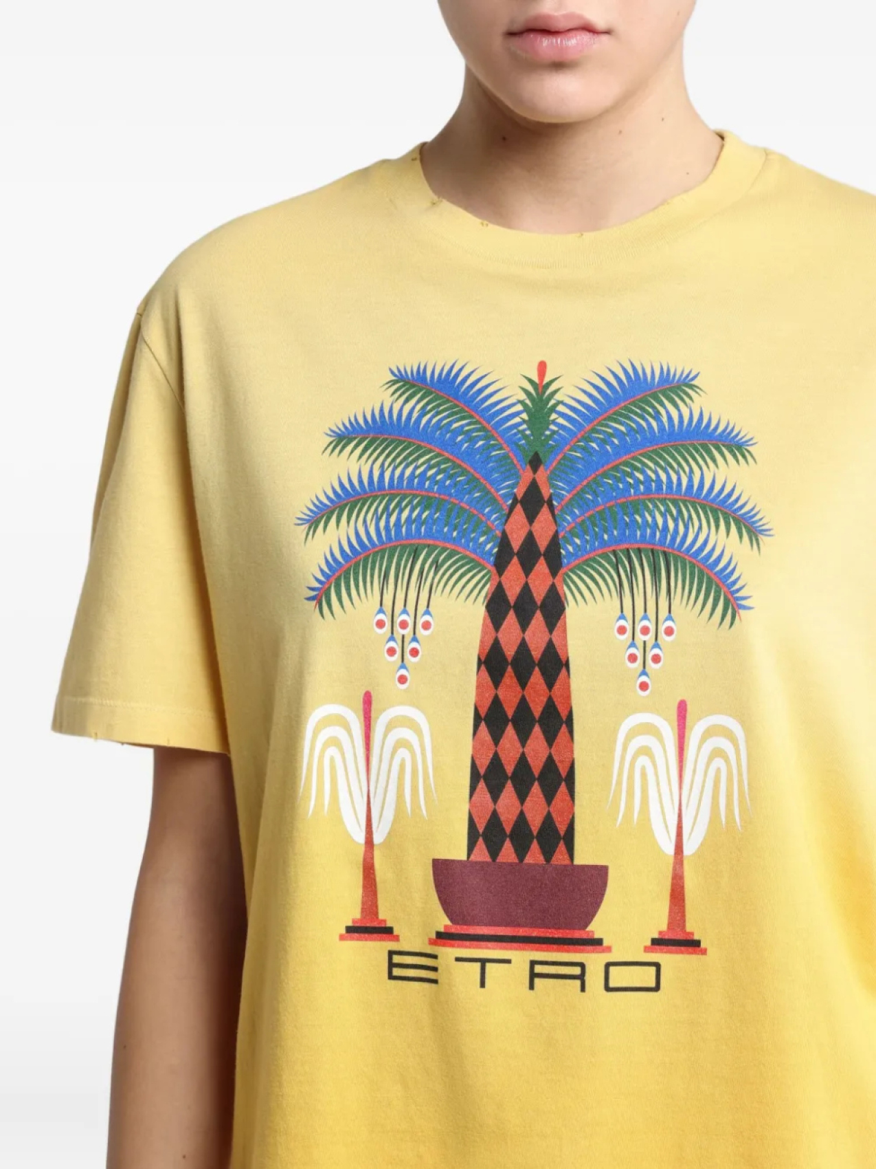 ETRO футболка с принтом из коллаборации с Agostino Lacurci, желтый — фото 4