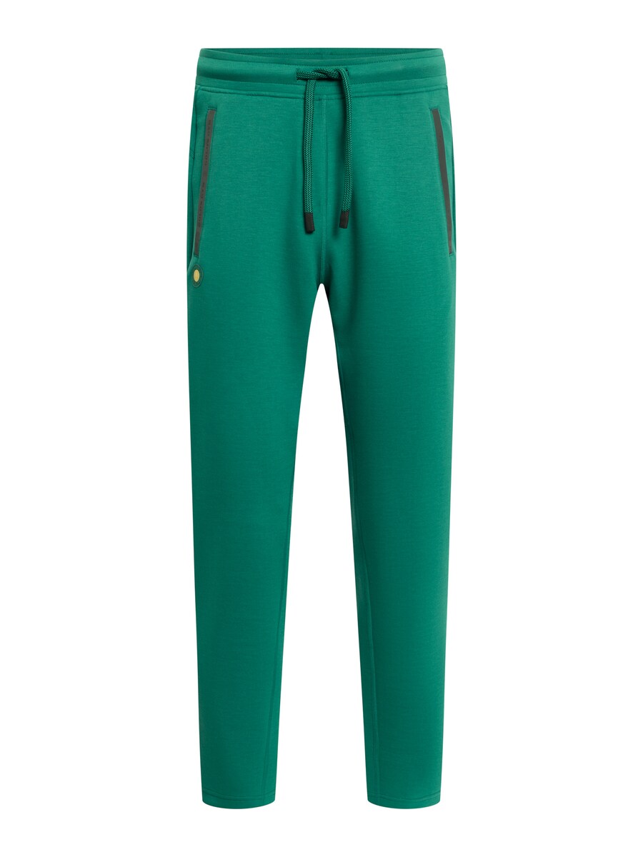 

Зауженные спортивные брюки GOLD´S GYM APPAREL ERIC, Fir