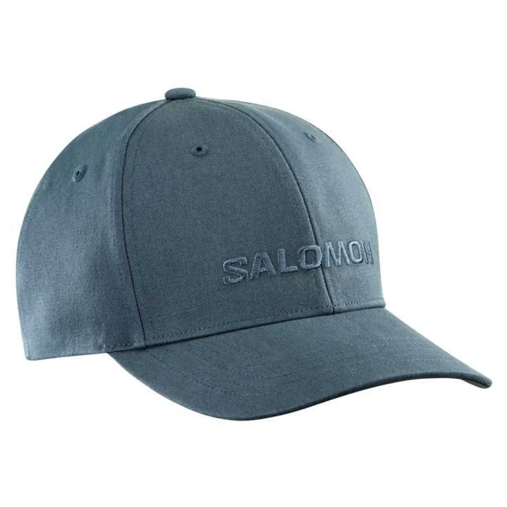 

Бейсболка Salomon Logo, синий