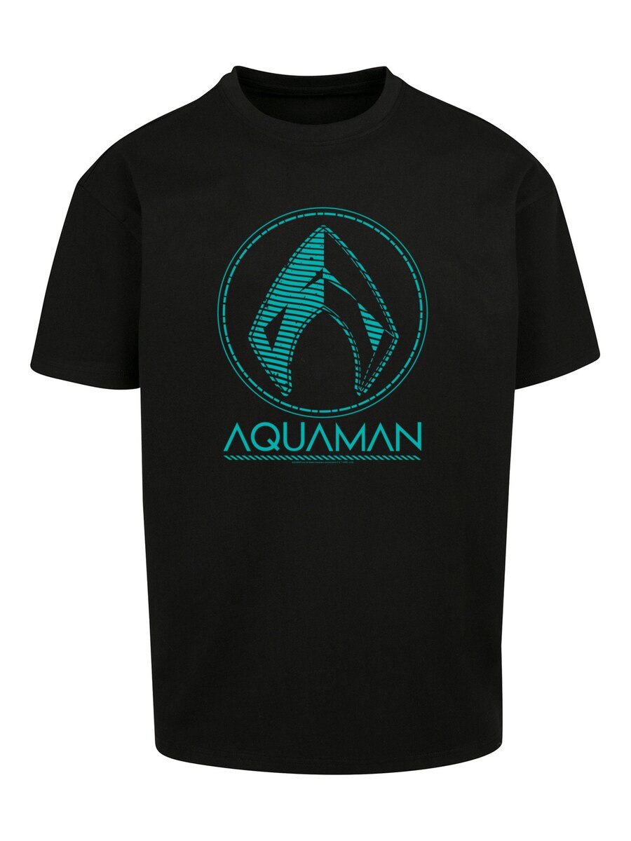

Рубашка F4NT4STIC DC Comics Aquaman Aqua Logo, черный