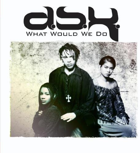 

CD диск DSK: What Would We Do