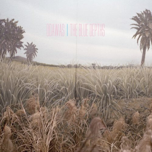 

Виниловая пластинка Odawas: The Blue Depths