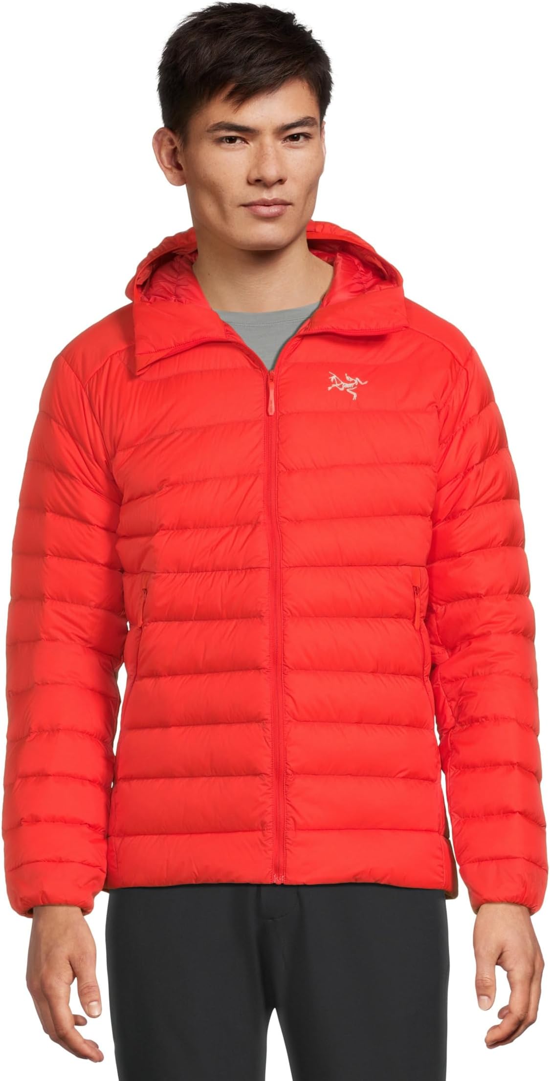 

Мужская толстовка Cerium Arc'teryx, Dynasty