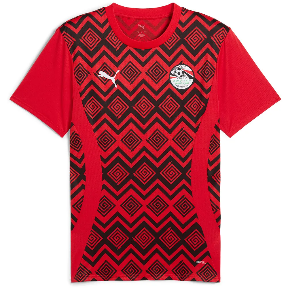 

Футболка с коротким рукавом Puma Egypt 24/25 pre match, красный