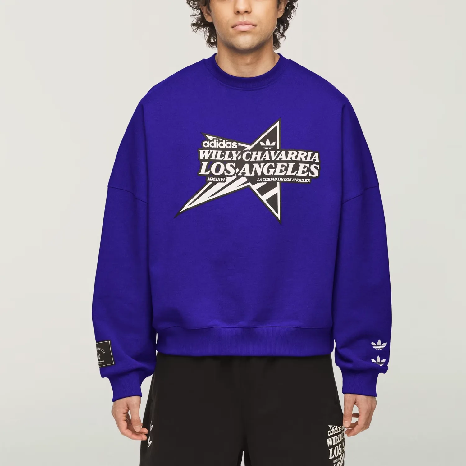 Толстовка Unisex Willy Chavarria Los Angeles Chavarria Star Logo Adidas Originals, semi-transparent синий — фото 4