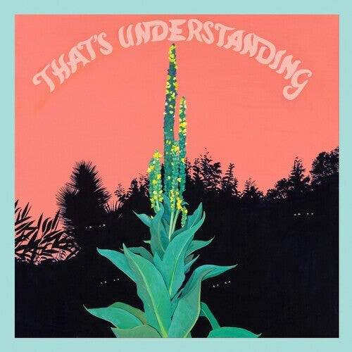

CD диск Village of Spaces: That's Understanding