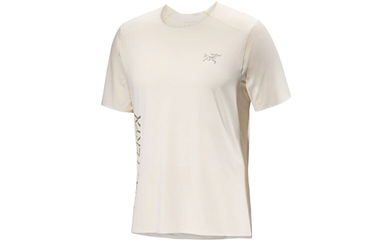 

Футболка мужская Arcteryx DownWord с логотипом, белый