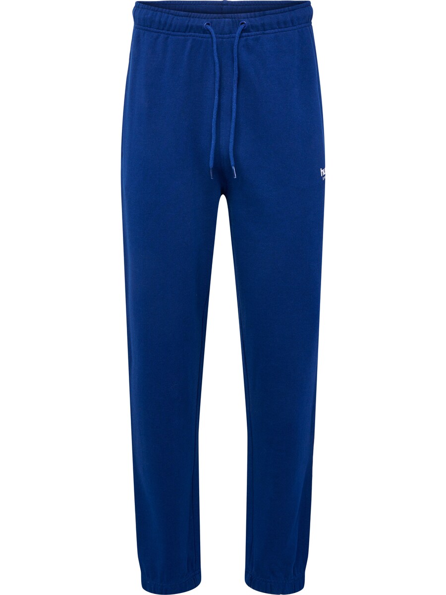 

Обычные брюки Hummel Gabe, цвет Gentian