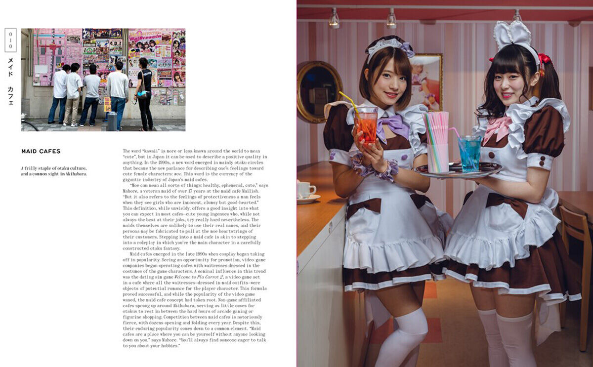 

Манга The Obsessed: Otaku, Tribes, and Subcultures of Japan (Hardcover)