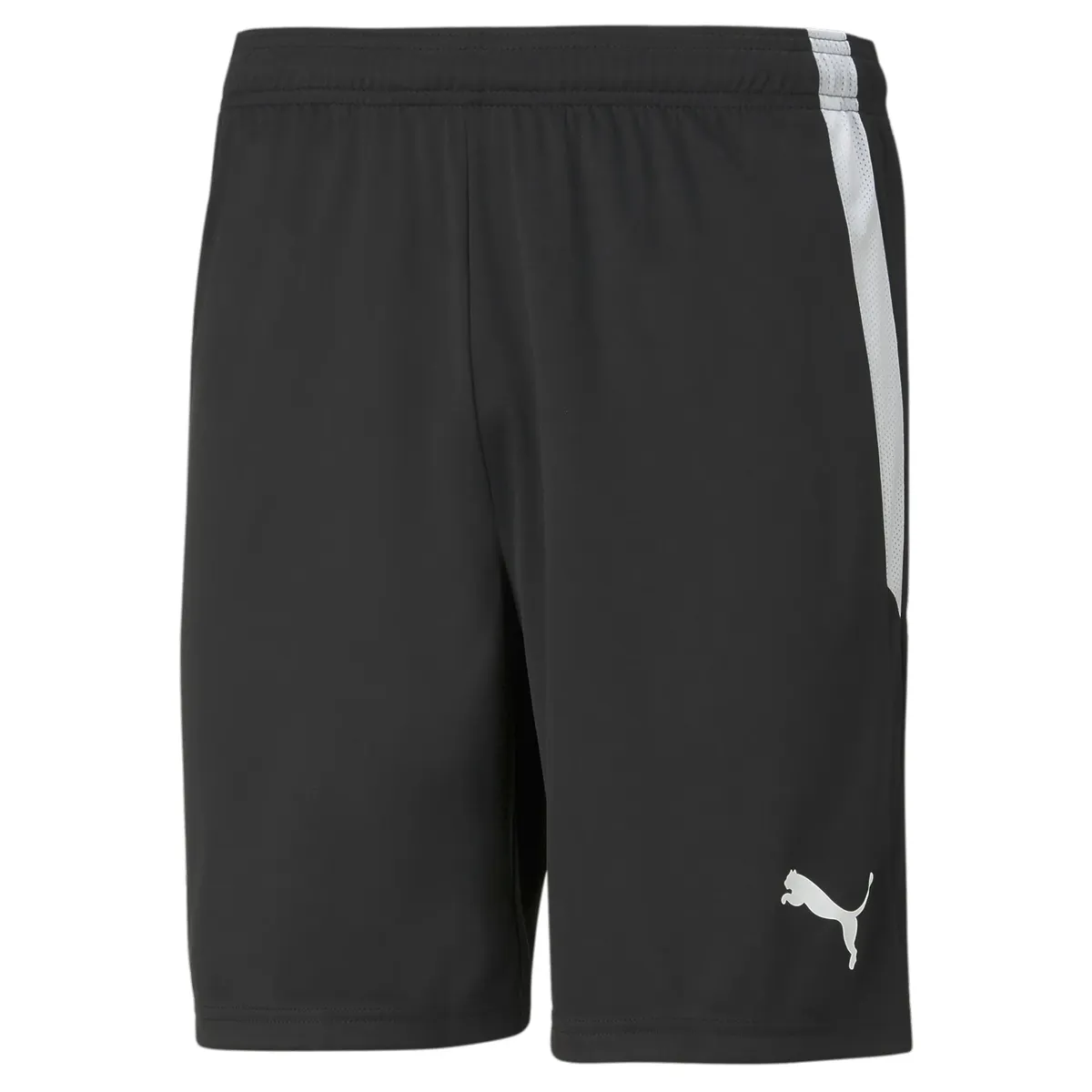 

Тренировочные шорты PUMA "TEAMLIGA SHORTS", белый