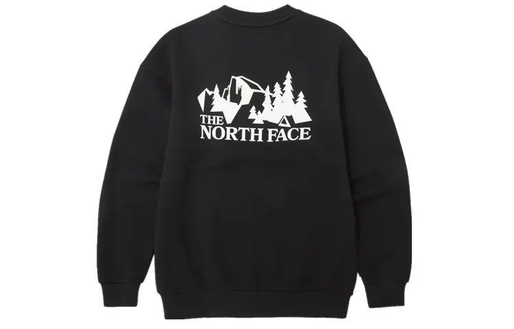 

Толстовка унисекс THE NORTH FACE, цвет Black