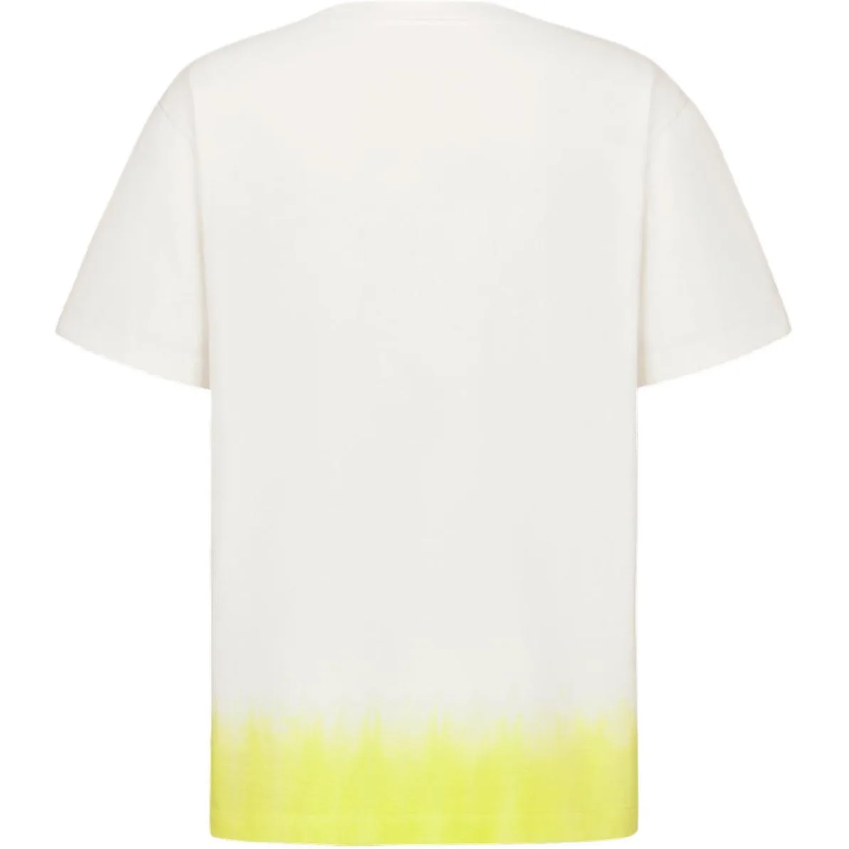 Футболка Kaws Relaxed Fit DIOR, белый — фото 4