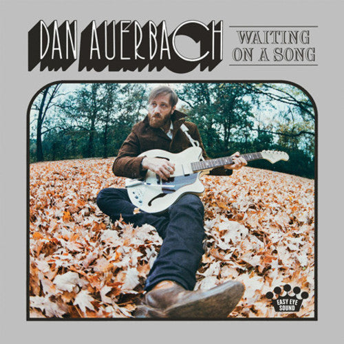 

Виниловая пластинка Auerbach, Dan: Waiting on a Song