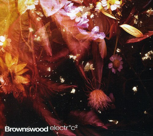 

CD диск Brownswood Electric 2 / Various: Brownswood Electr*c 2