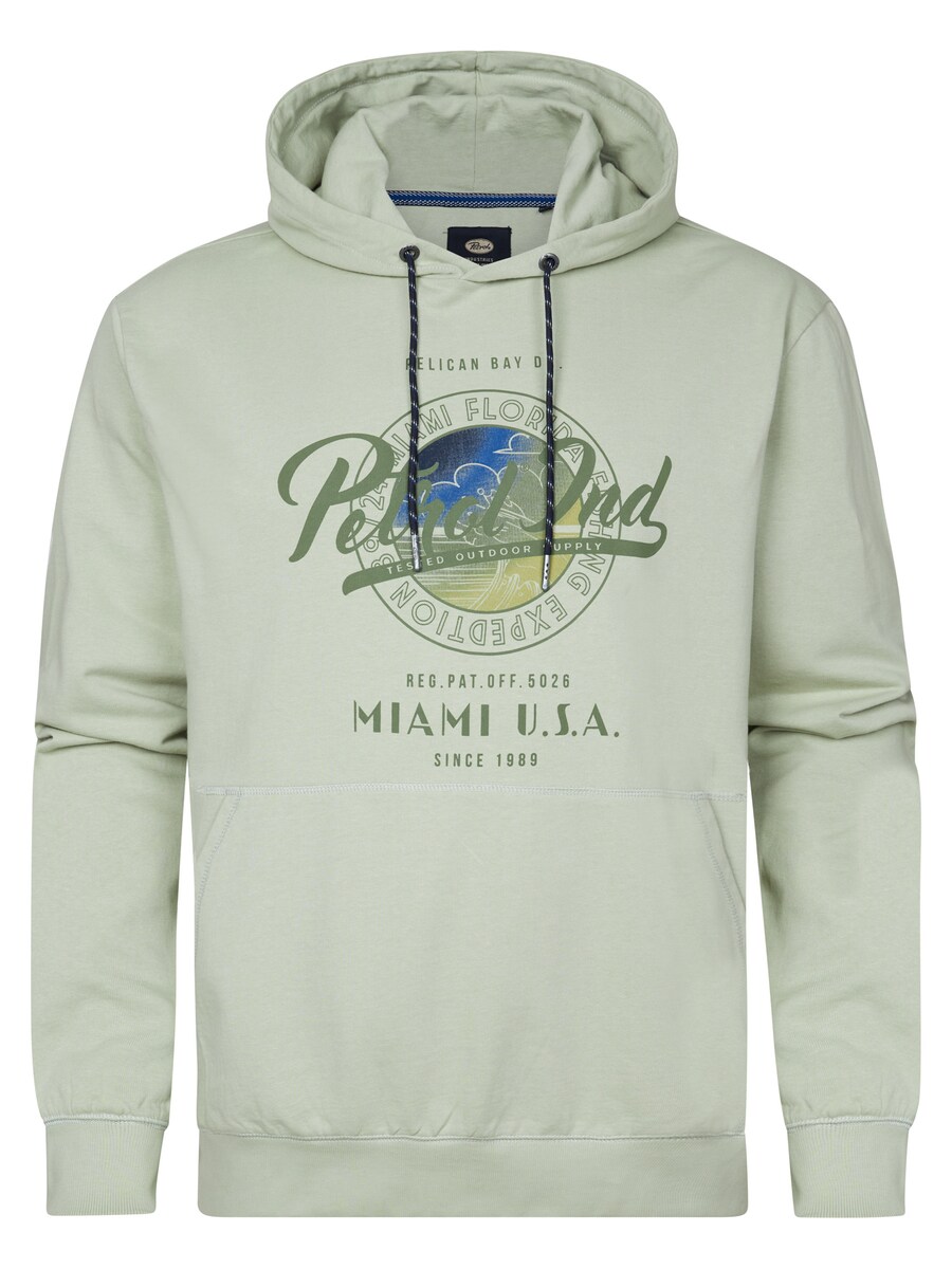 

Толстовка Petrol Industries Biscayneside, цвет Olive/Pastel green