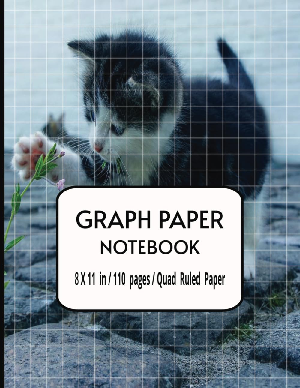 

Graph Paper Notebook: Grid Paper Notebook, Grid Paper for Math and Science Students, Quad Ruled (Spanish Edition) (Independently published)