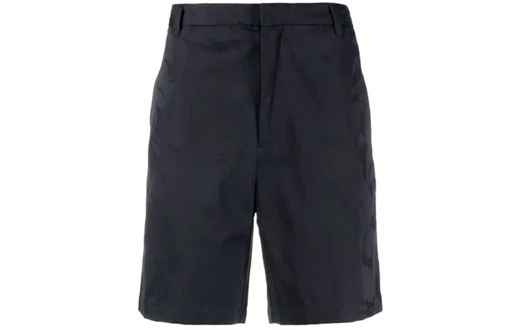 Шорты мужские Casual Blue EMPORIO ARMANI
