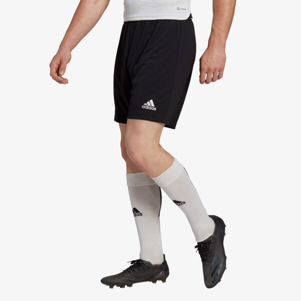 

Энтрада 22 шорты Adidas, черный
