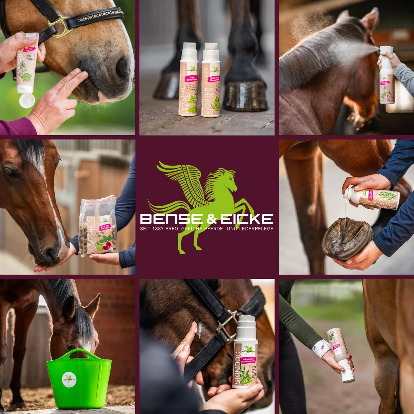 Шампунь для белых и светлых лошадей Bense & Eicke Schimmel Shampoo Parisol — фото 3