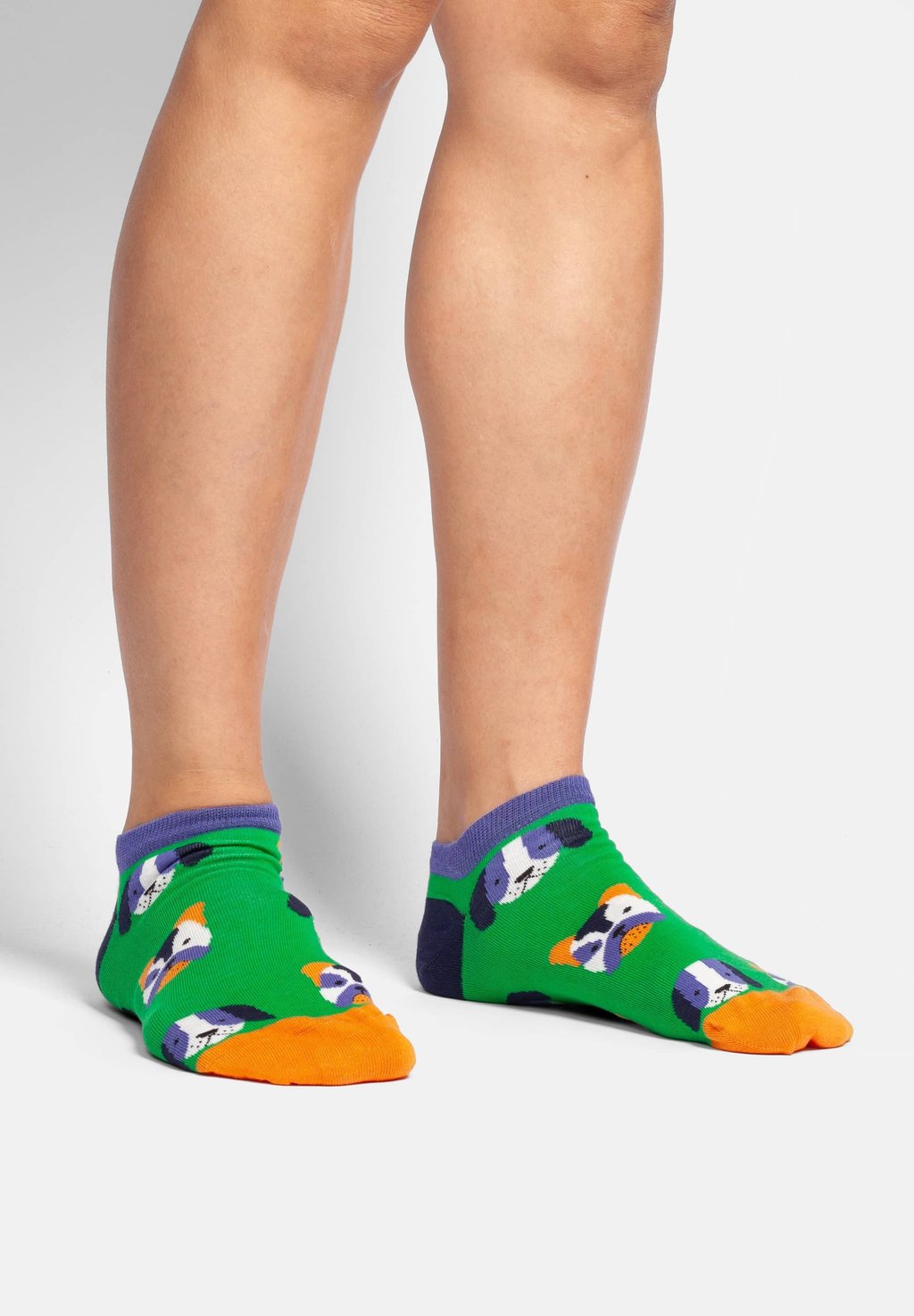 

Носки 3ER SET FLUFFY DillySocks, мультиколор