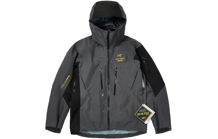 Куртка Palace Arc'teryx Alpha Sv Arcteryx, limited edition серый/smu-grey