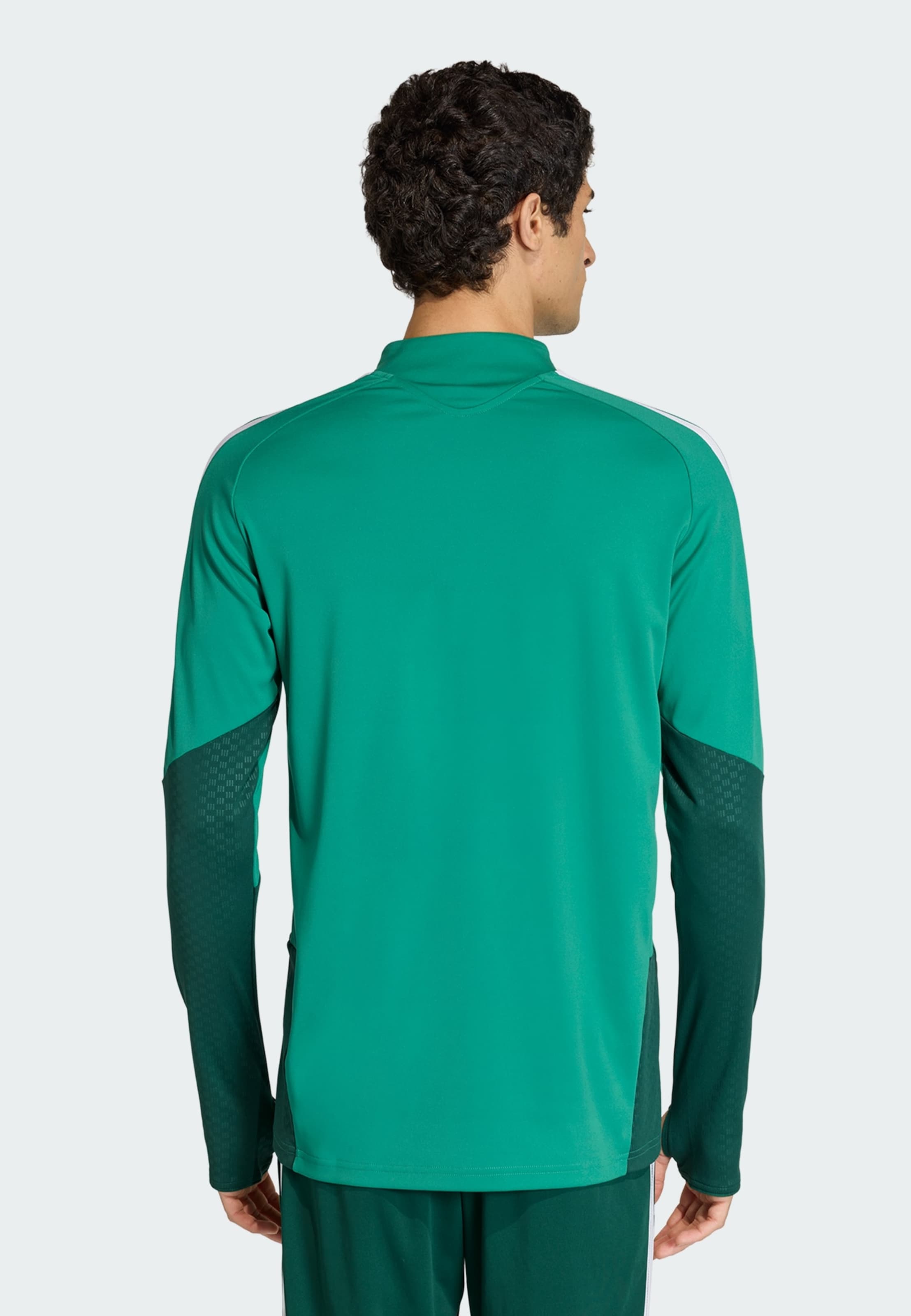Adidas Performance Джерси 'Algeria 26' в зеленом цвете, нефритовый — фото 3