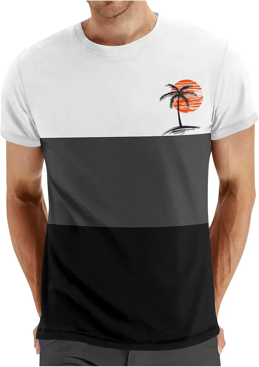 

Мужская футболка с принтом Coconut Palm, цветной блок, короткий рукав, Regular Fit