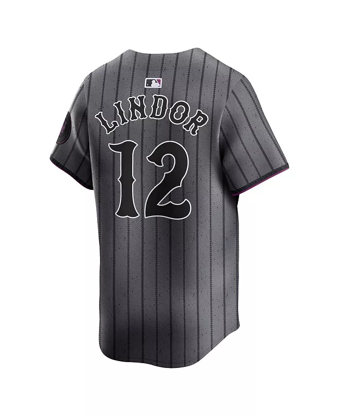 Мужская лимитированная игровая футболка Francisco Lindor серого цвета New York Mets City Connect Nike — фото 2
