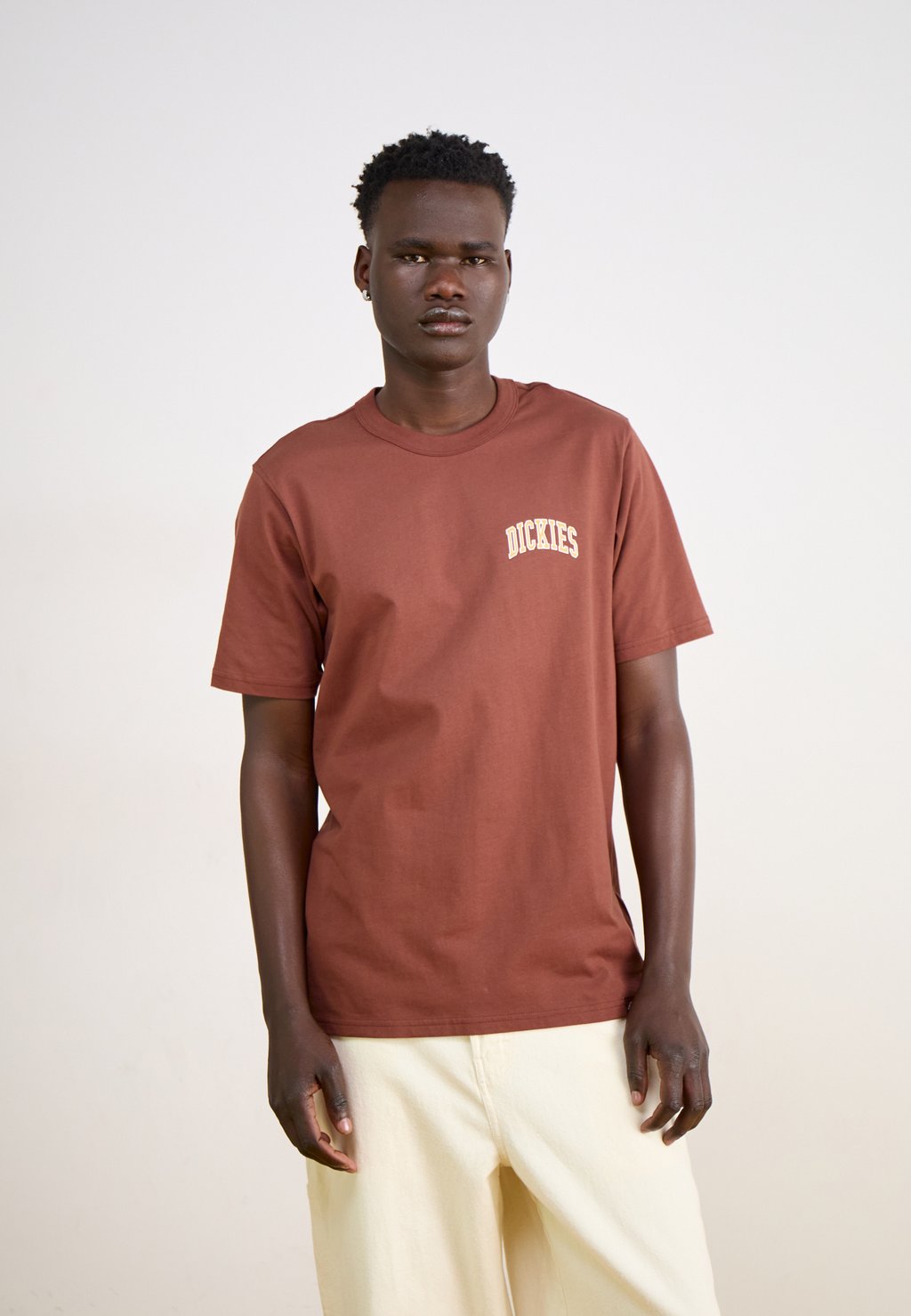 

Футболка с принтом AITKIN CHEST TEE Dickies, коричневый