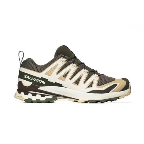 

SALOMON Кроссовки для бега XA Pro 3D V9 GTX