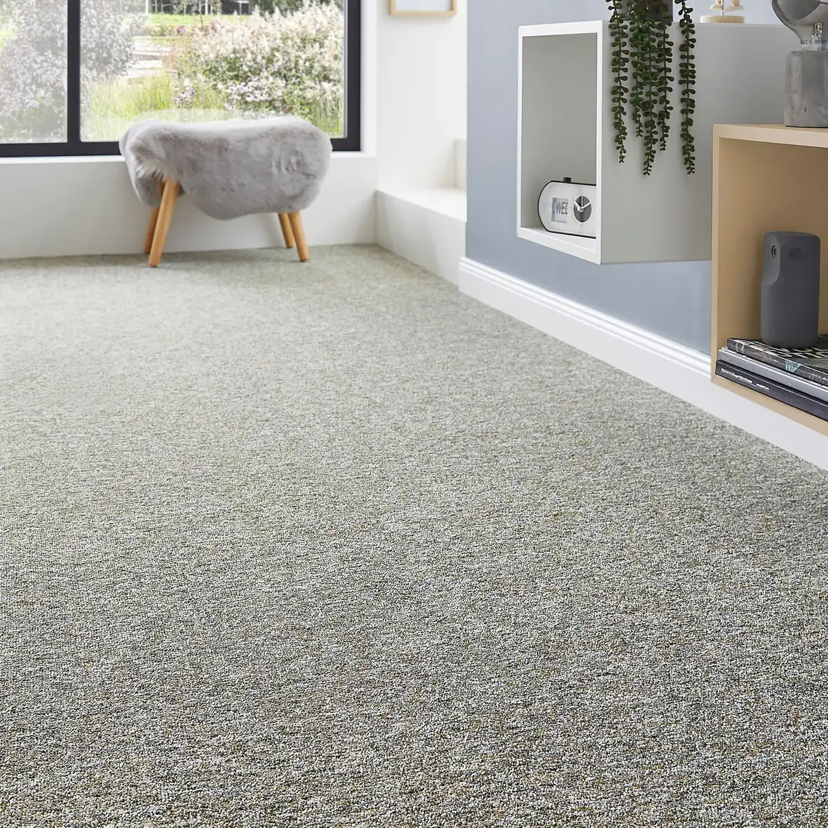 

Ковер Andiamo "Feinschlinge Gambia", прямоугольный, в крапинку, ширина 400 см или 500 см, износостойкий, легко чистится 400х200 см, зеленый