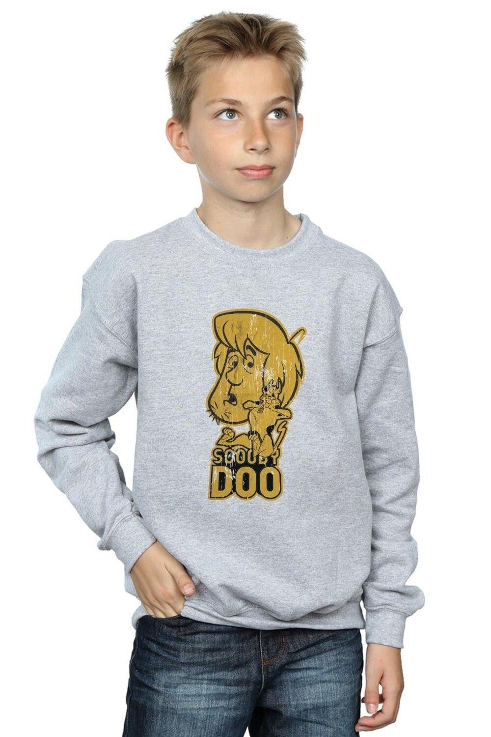 

И лохматая толстовка Scooby Doo, серый