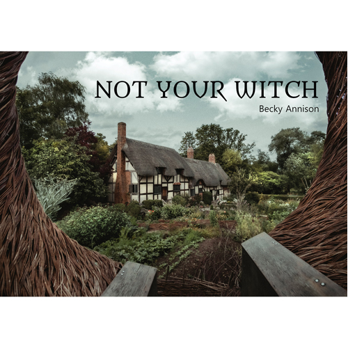 

Настольная игра Not Your Witch Rpg
