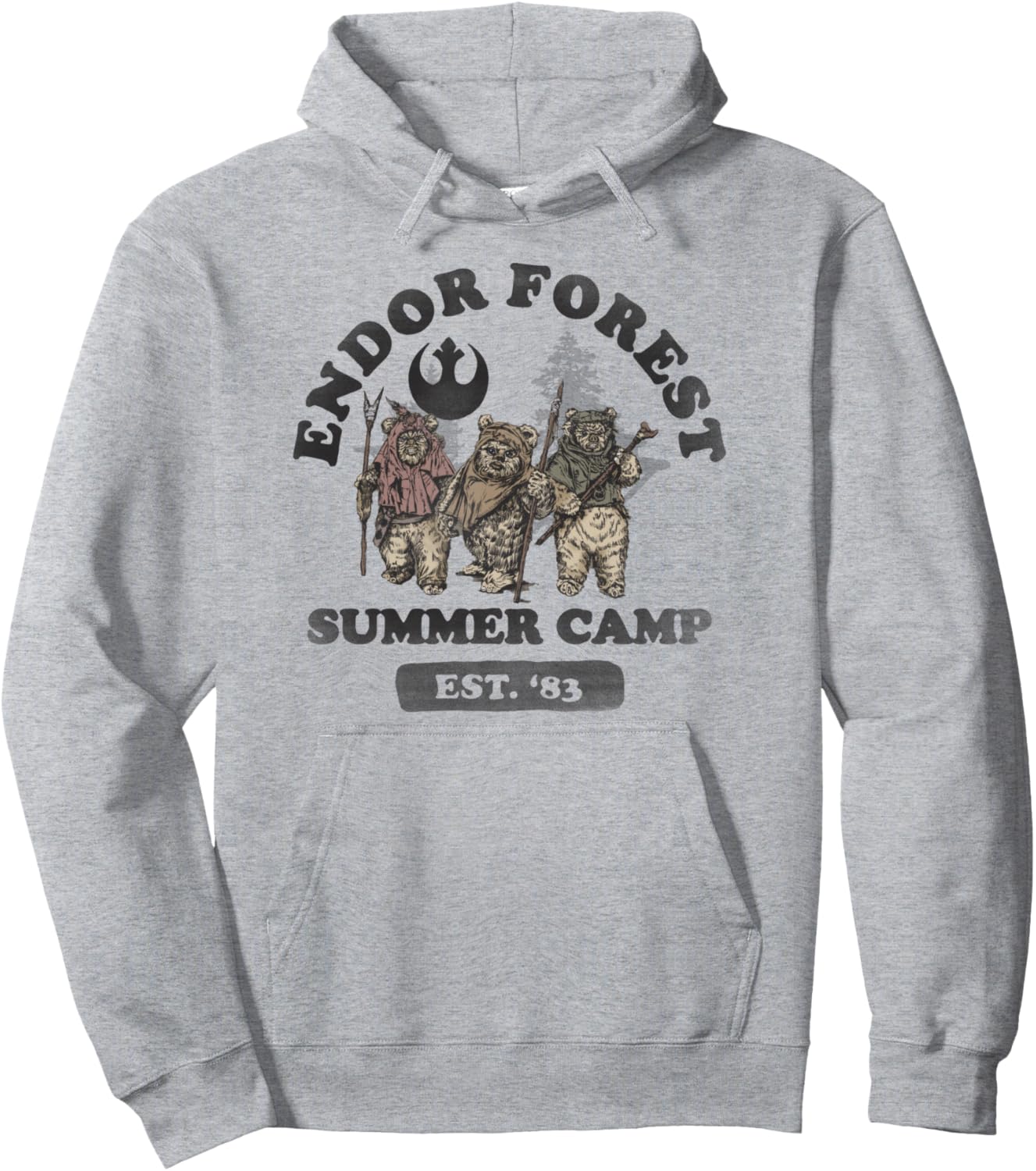 

Худи с изображением группового портрета из летнего лагеря в лесу Эндор, по мотивам «Звездных войн», серого цвета Star Wars