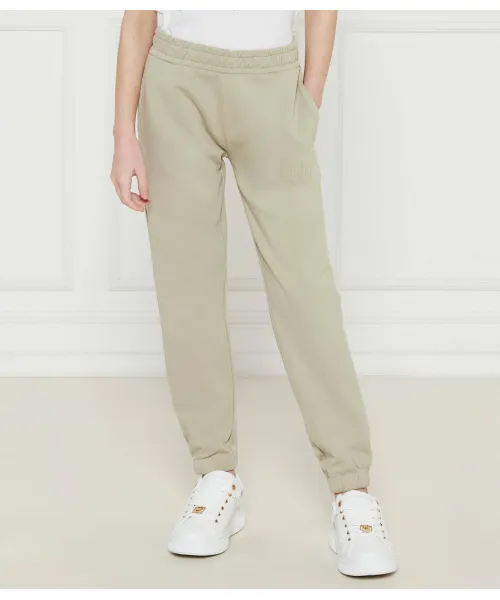 

Спортивные штаны Regular fit Guess, зеленый