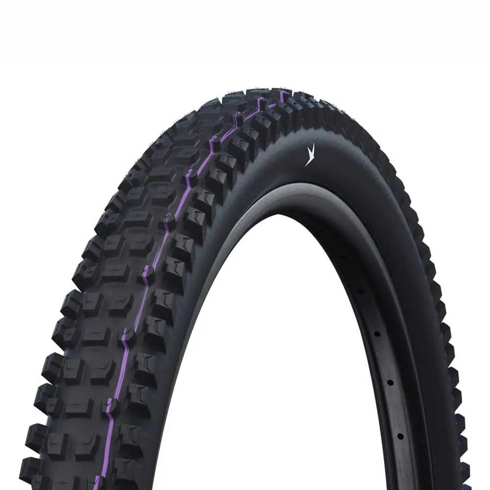 

Шина для горного велосипеда Schwalbe Albert Gravity Pro Evo UltraSoft E-50 Tubeless 29´´ x 2.50, серебряный