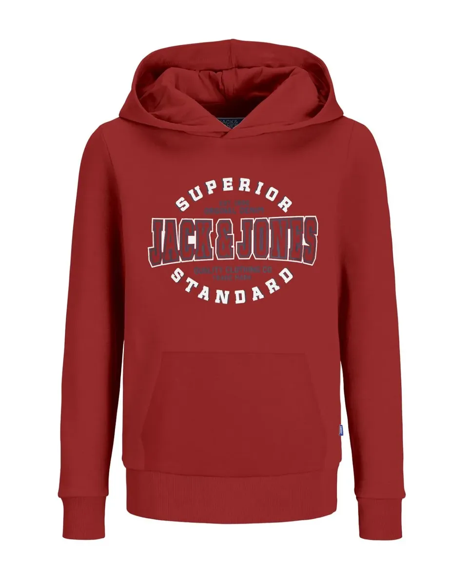 

Детская толстовка с капюшоном Jack & Jones "JJELOGO SWEAT HOOD 2 COL 24/25 NOOS JNR" Jack & Jones Junior, цвет Red Ochre