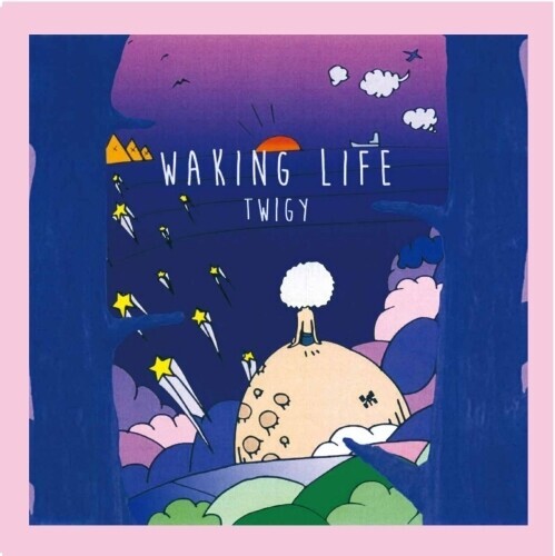 

Виниловая пластинка Twigy: Waking Life