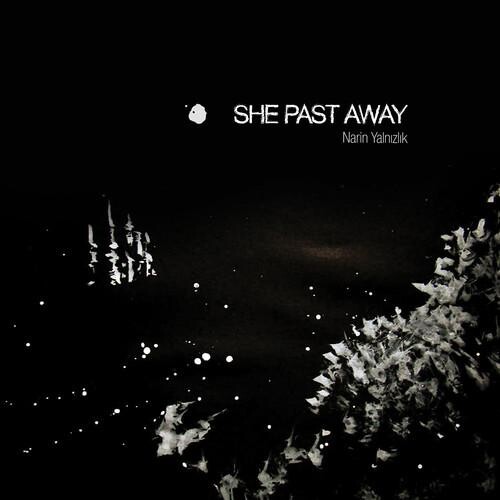 

Виниловая пластинка She Past Away - Narin Yalnizlik