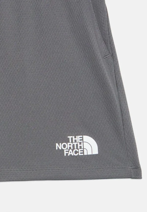 Подростковые спортивные шорты унисекс из полиэстера The North Face, Smoked Pearl — фото 3
