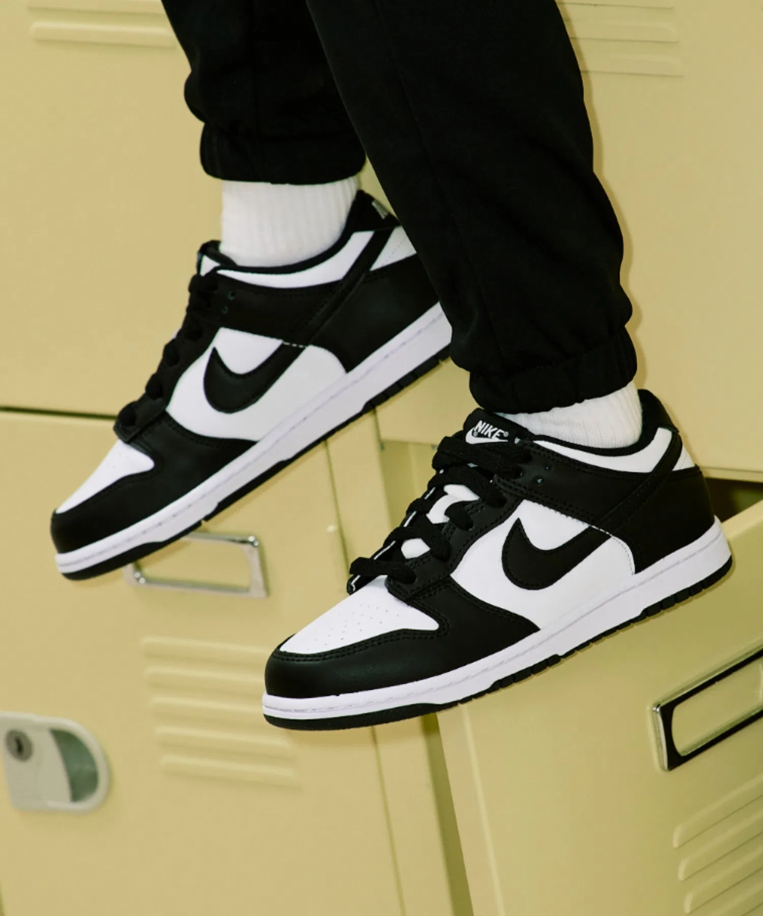 Детские кроссовки Nike Dunk Low CW1588-100