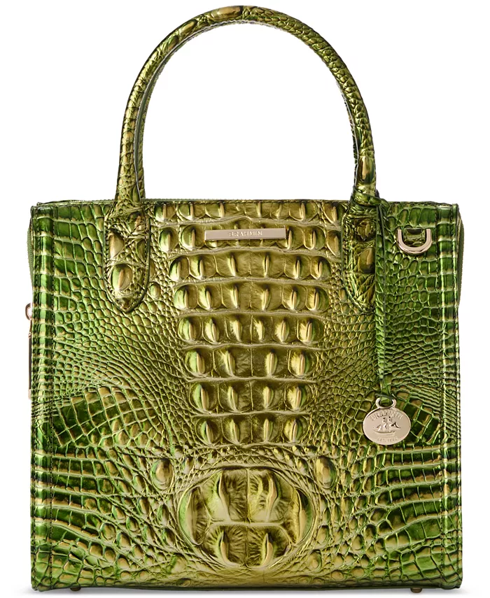 

Маленькая кожаная сумка Caroline Melbourne Brahmin, зеленый