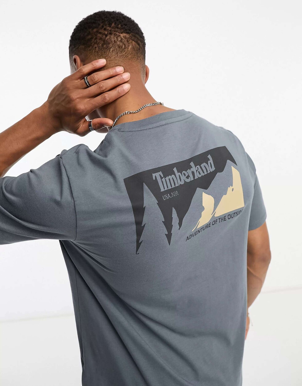 

Серая футболка с горным принтом на спине Timberland