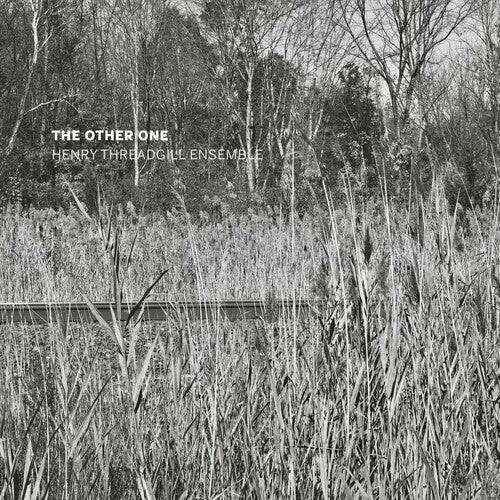 

CD диск Henry Threadgill Ensemble: The Other One
